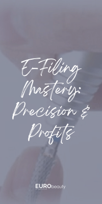 Click for More Info for the Introduction to E-File Certification 